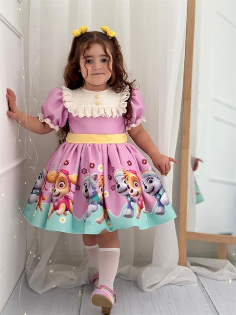 Paw Patrol Vintage Baby Girl Dress Birthday Dress